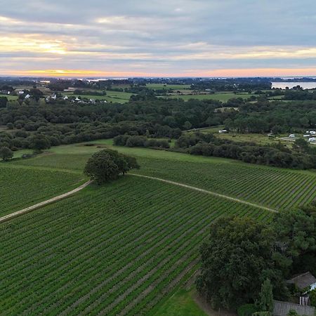 Gite -L'Appart- Au Vignoble Domaine Lamballe, Baden, Golfe Du Morbihan Exteriér fotografie