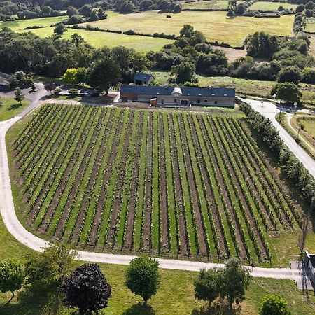 Gite -L'Appart- Au Vignoble Domaine Lamballe, Baden, Golfe Du Morbihan Exteriér fotografie