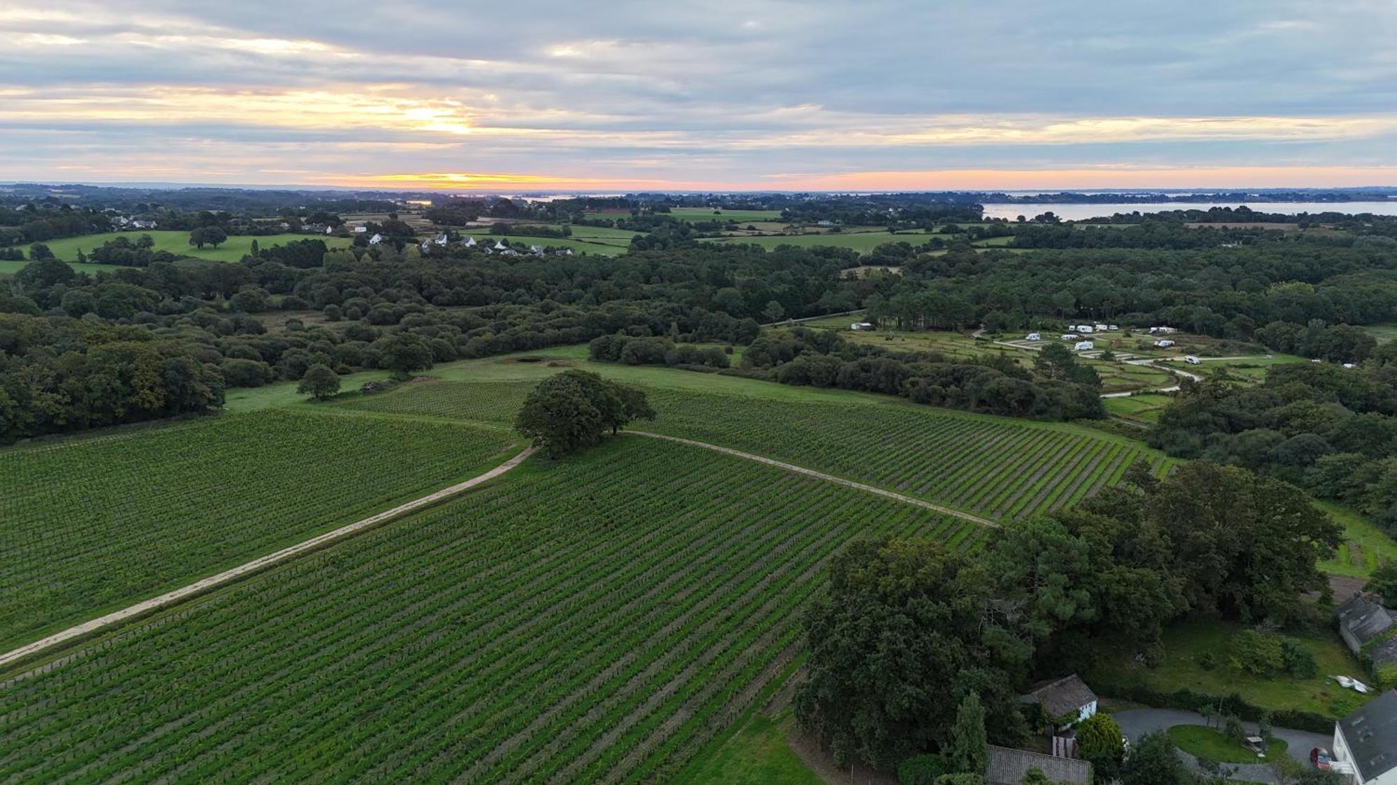 Gite -L'Appart- Au Vignoble Domaine Lamballe, Baden, Golfe Du Morbihan Exteriér fotografie