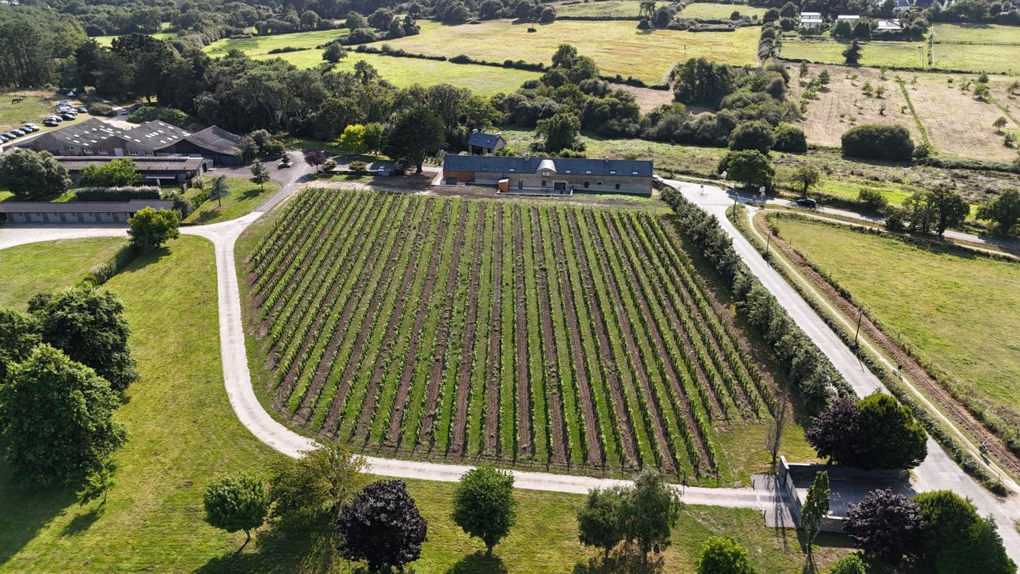Gite -L'Appart- Au Vignoble Domaine Lamballe, Baden, Golfe Du Morbihan Exteriér fotografie